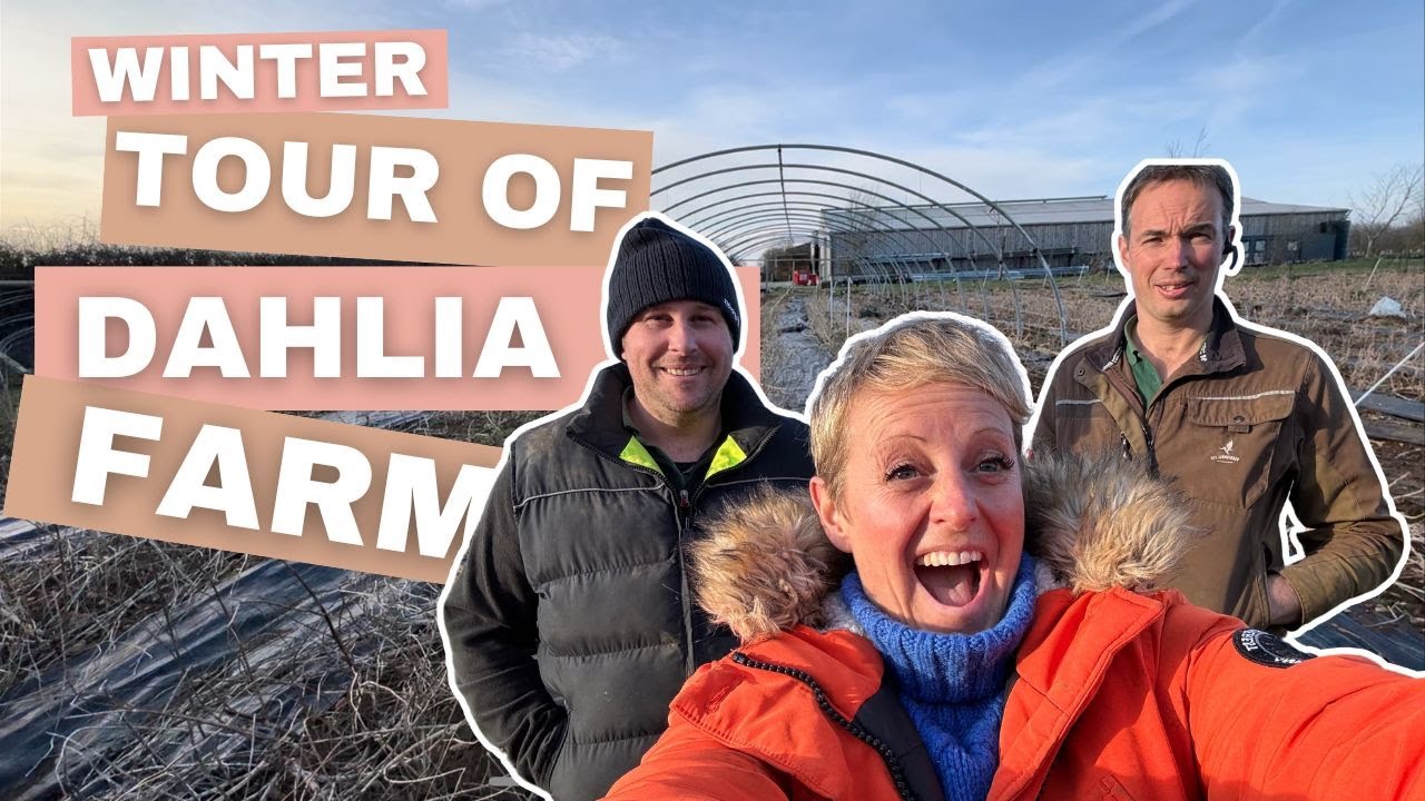 Winter Tour of the Dahlia Farm!