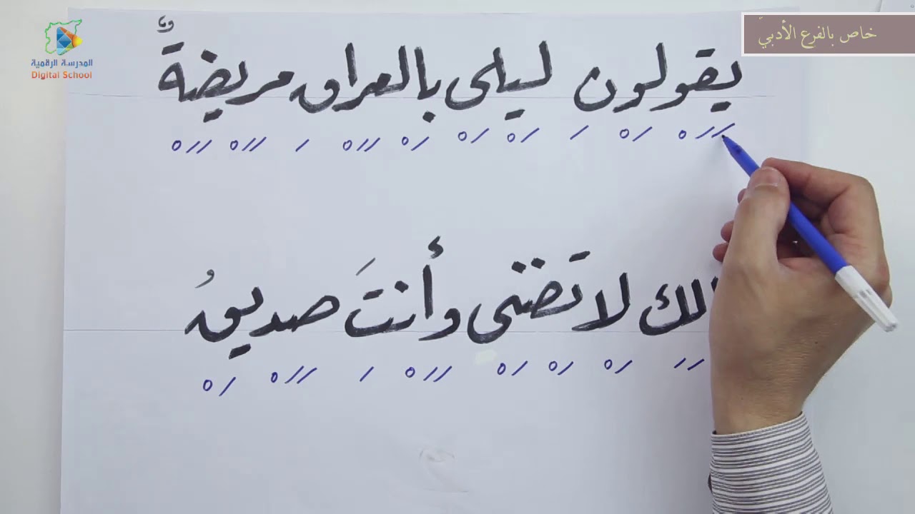 37 ليلى 2 عربي11