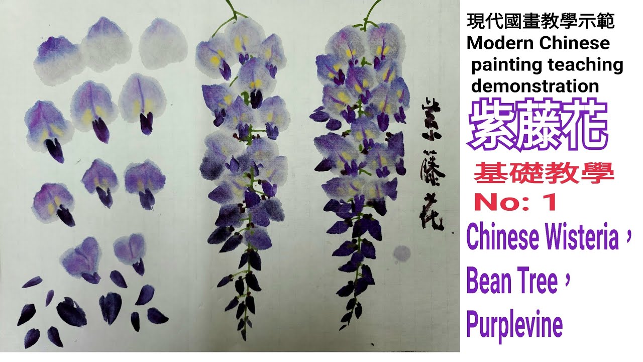 1。紫藤花基礎教學 수묵화 चित्रकारी।Chinese brush painting 國畫山水-花鳥·水墨畫·墨彩画·陈铭显 陳銘顯Chen Ming-Hsien現代國畫影音教學