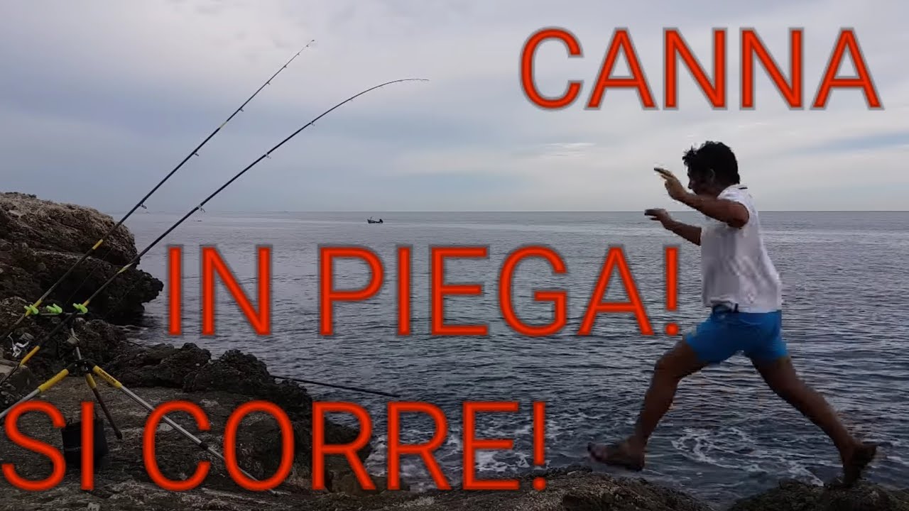 pesca mar a fondo dalla piega speravo sull'orata e invece arriva un sarago big