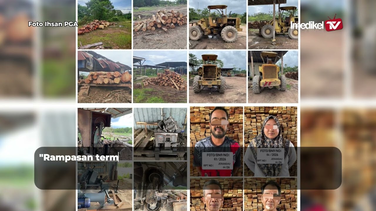 PGA RAMPAS HASIL HUTAN HAMPIR RM8 JUTA  DI KELANTAN, TERENGGANU | Imedikel TV