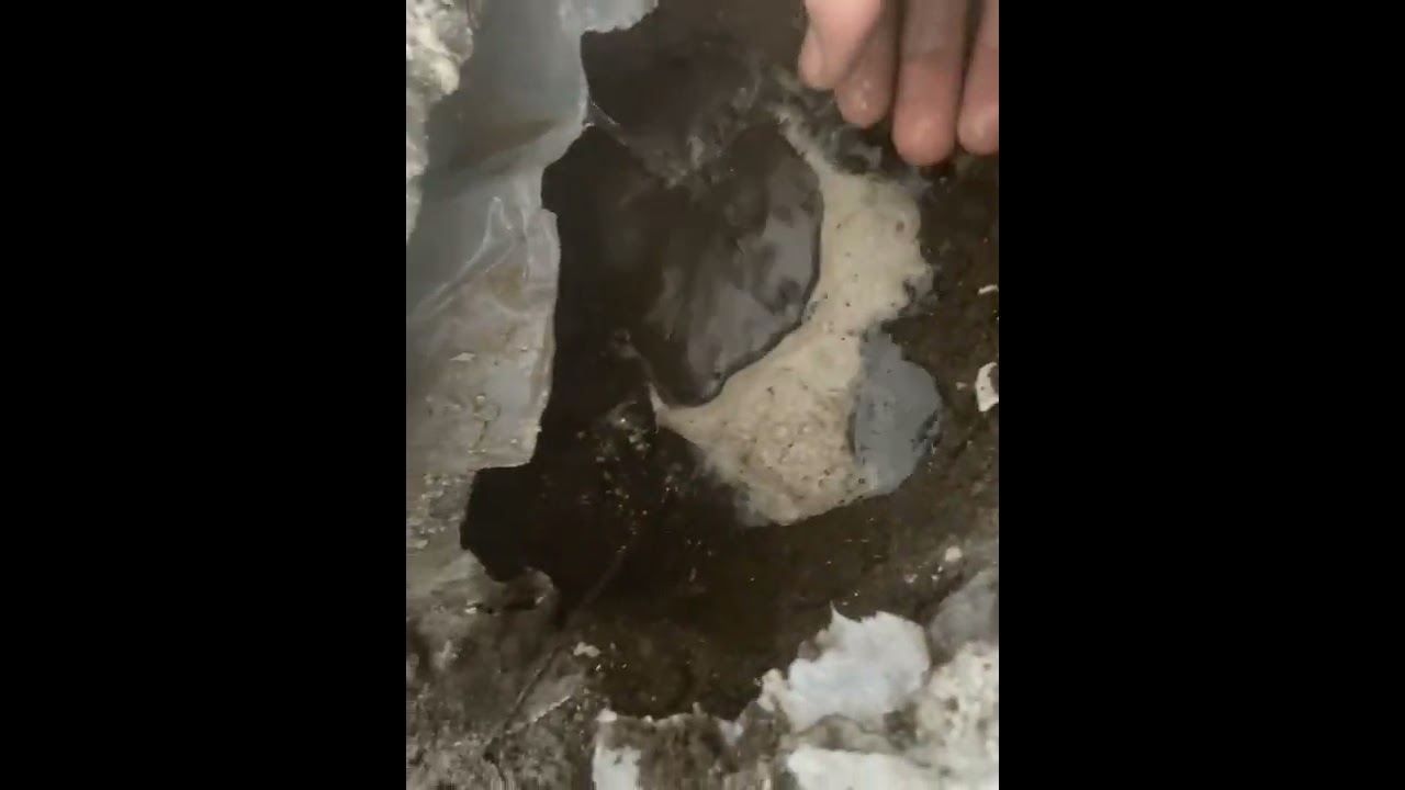 Pinhole Leak in Water Pipe under Slab