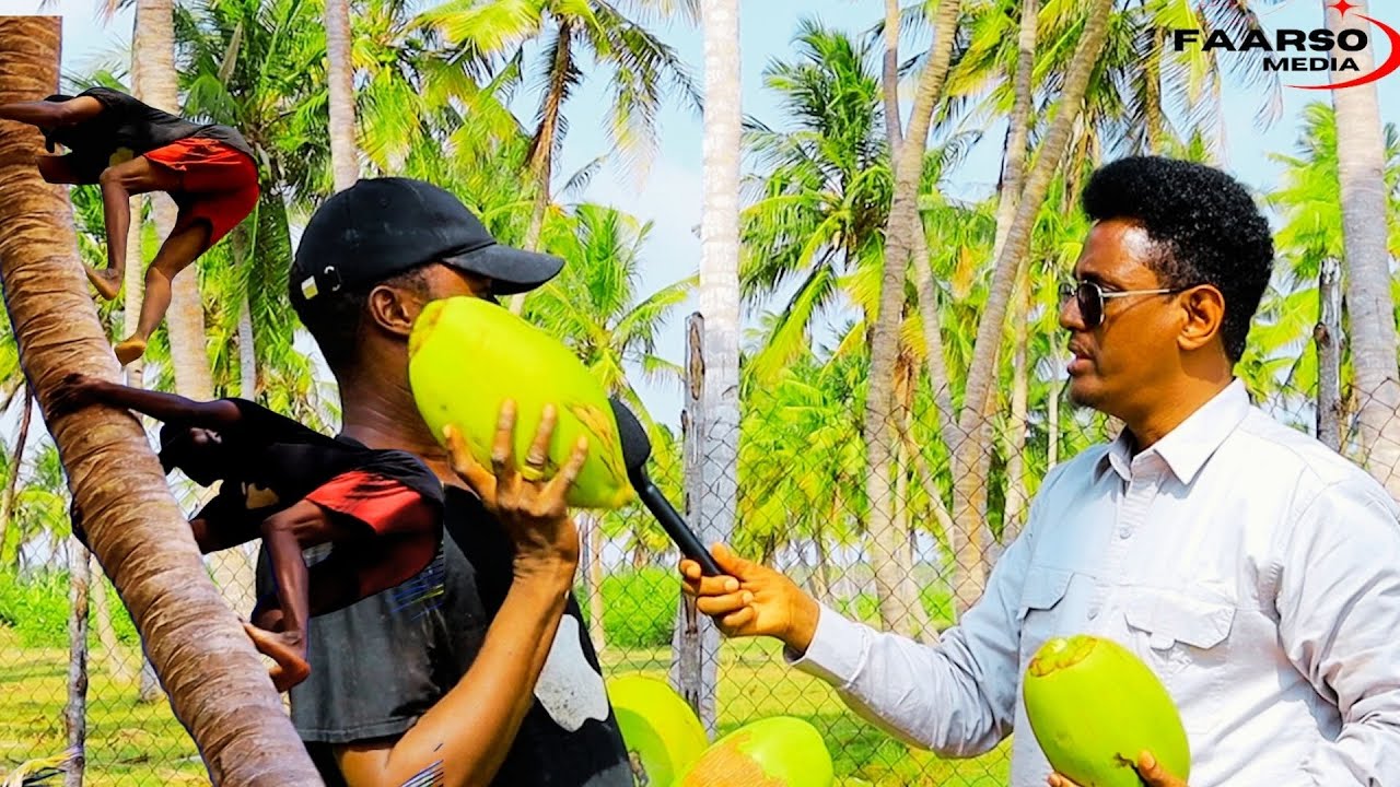 Kismaayo waxaaan ku soo arkay waxyaabo aan aad ula yaabay, dalxiisayaashu kama xiiso dhacayaan