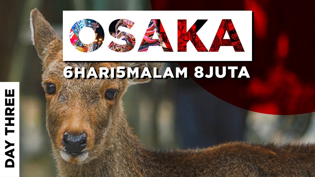 DAY 3: KE HUTAN ANGKER OSAKA & LIAT RUSA BS HORMAT - OSAKA BUDGET TRIP