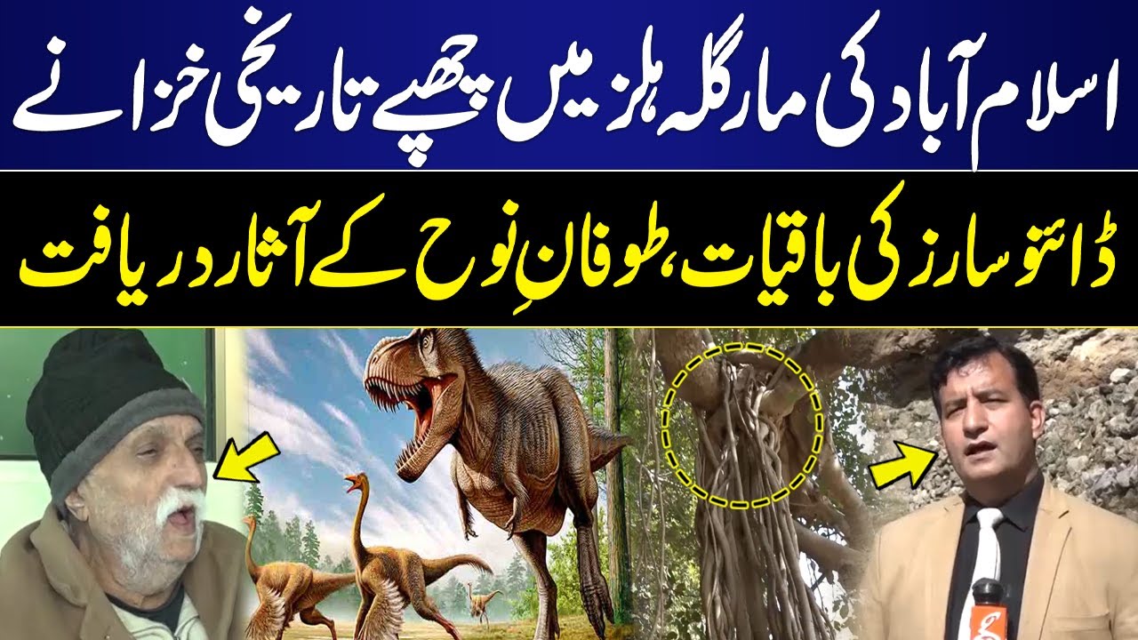 Historical Treasures Hidden in Islamabad's Margalla Hills | Remains of Dinosaurs | Toofan E Nooh