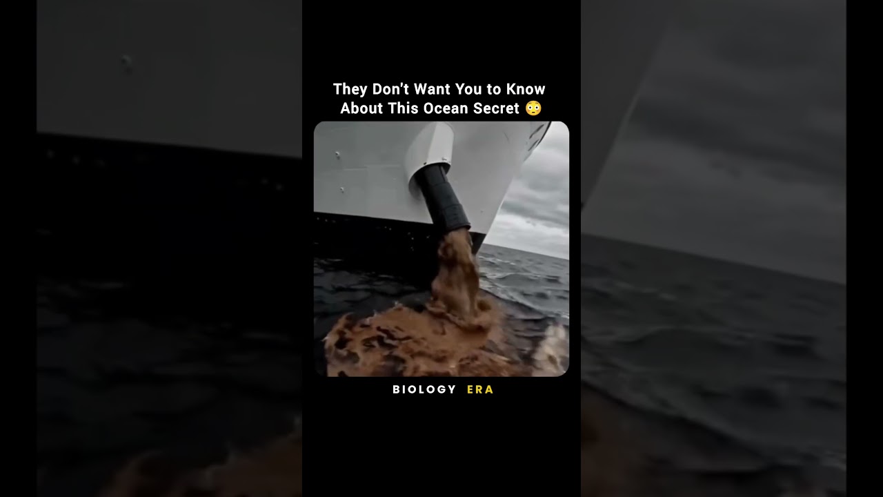 They Don't Want You to Know About This Ocean Secret 😳🌊 #Shorts