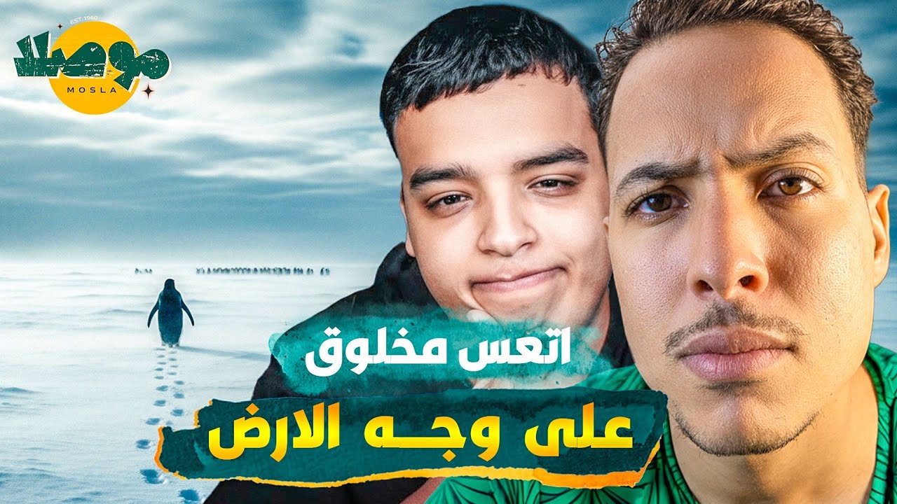 قصة البطريق العدمي  