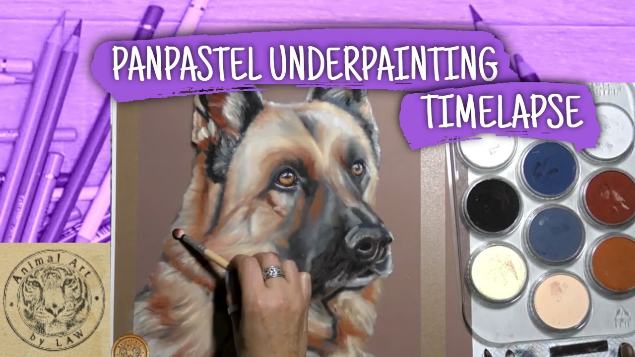 German Shepherd - PanPastel underpainting - Timelapse