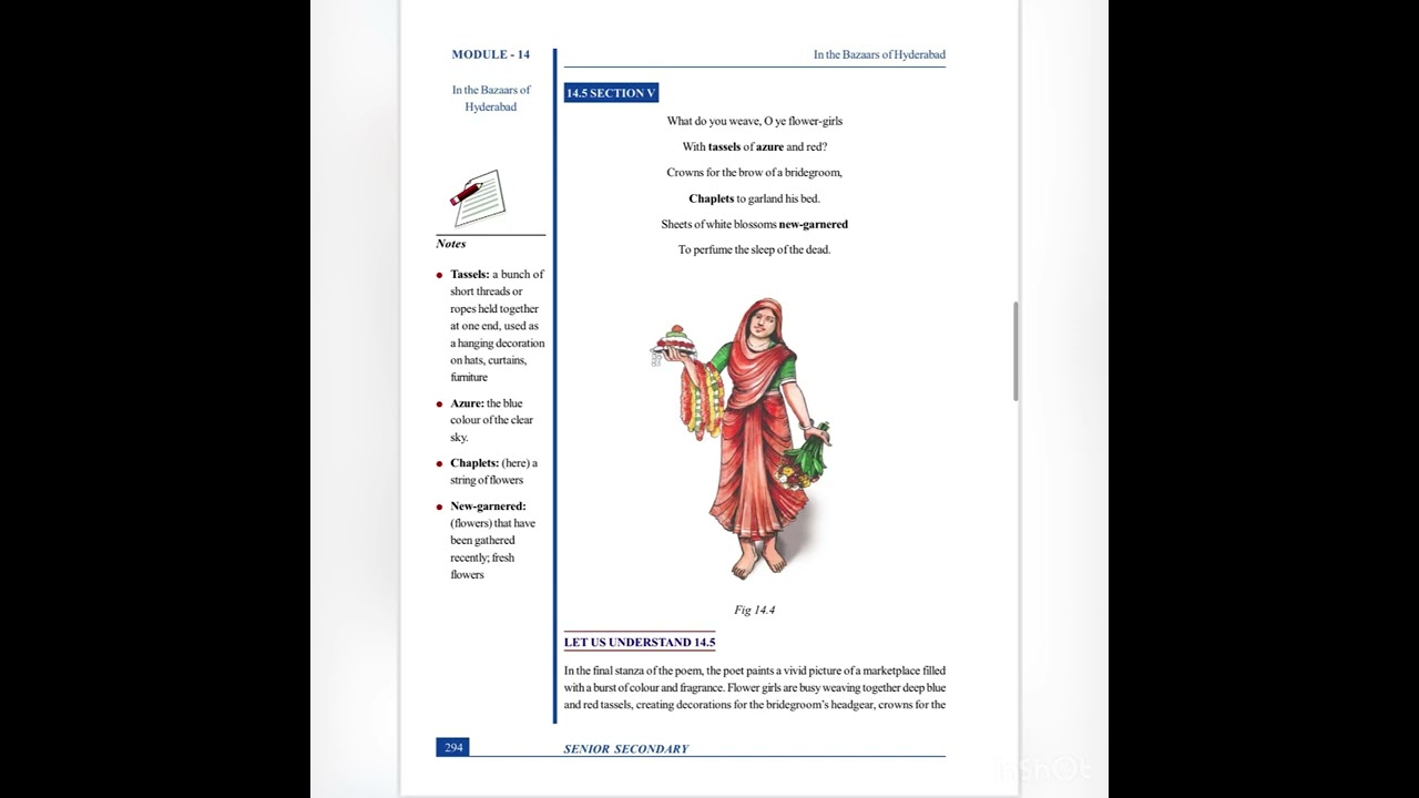NIOS CHAPTER 14 IN THE BAAZARS OF HYDERABAD EXPLANATION