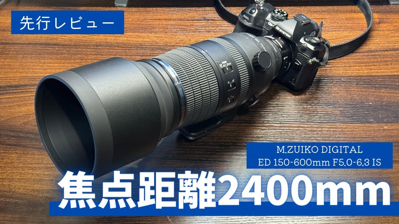 【先行レビュー】焦点距離2400mmの世界 M.ZUIKO DIGITAL ED 150-600mm F5.0-6.3 ISと2倍テレコンで試し撮り【OM-1 MarkII】【OM SYSTEM】