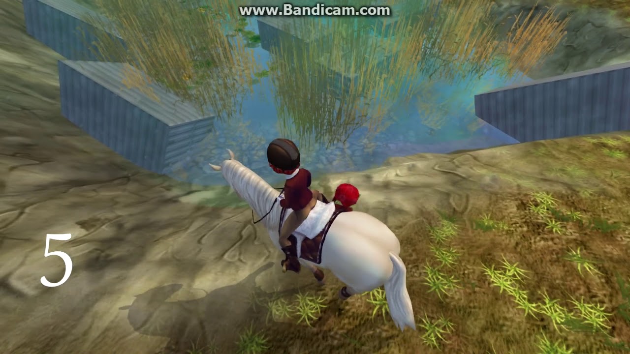 Pavouci / Spiders - Western Epona