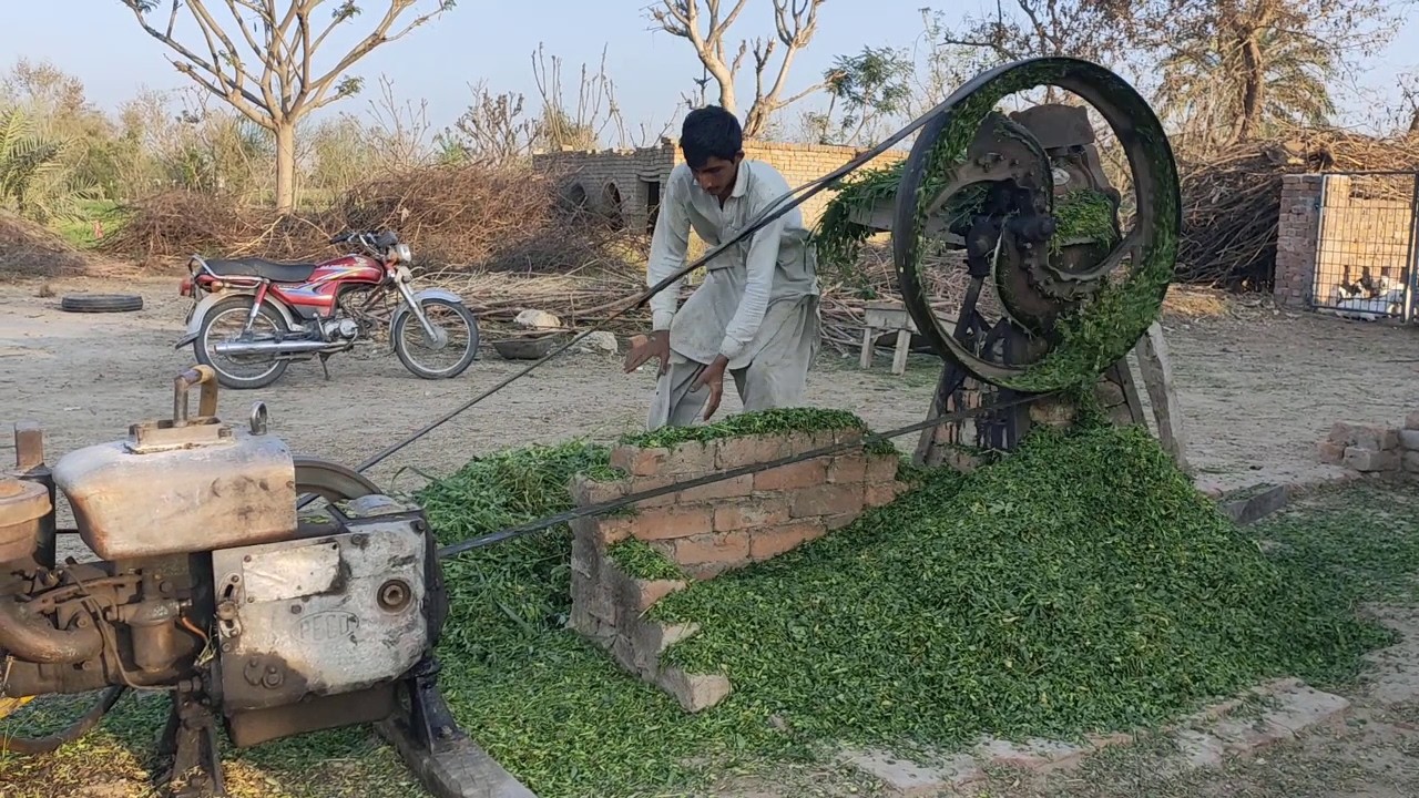 Ultimate Village Living Old Culture And simple Life Moments Compilation