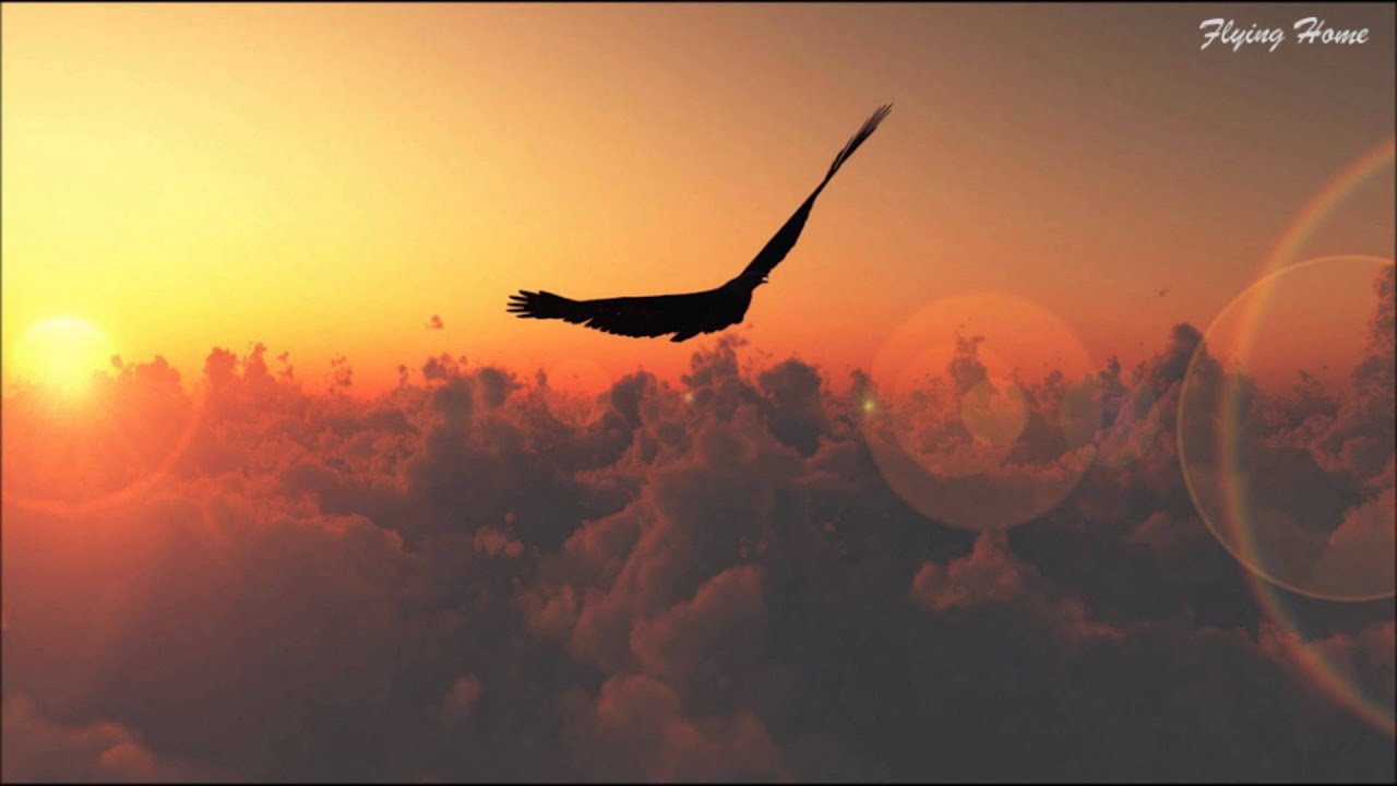 Jimmis - Flying Home