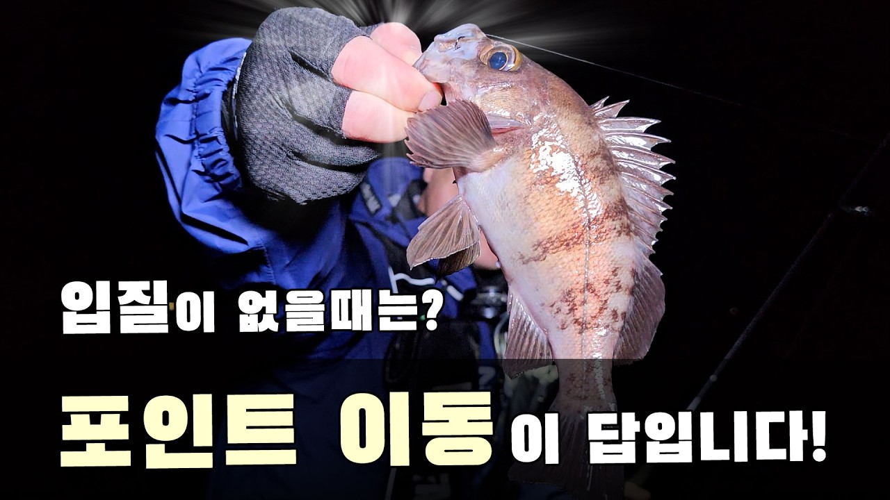 고기 없을때는? 낚시 포인트 이동!  #볼락 #볼락낚시 #낚시 #바다낚시 #fishing #던질찌 #캐스팅볼