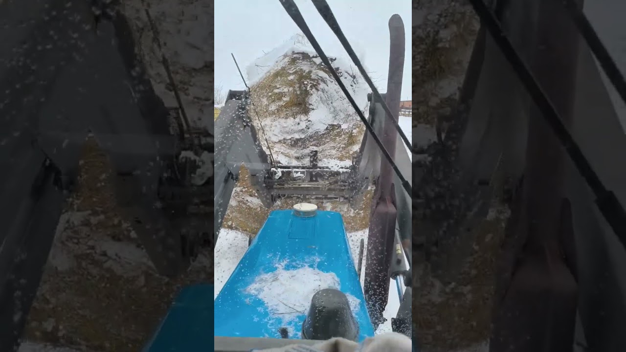 Добираемся до овец, управка, окот продолжается. 