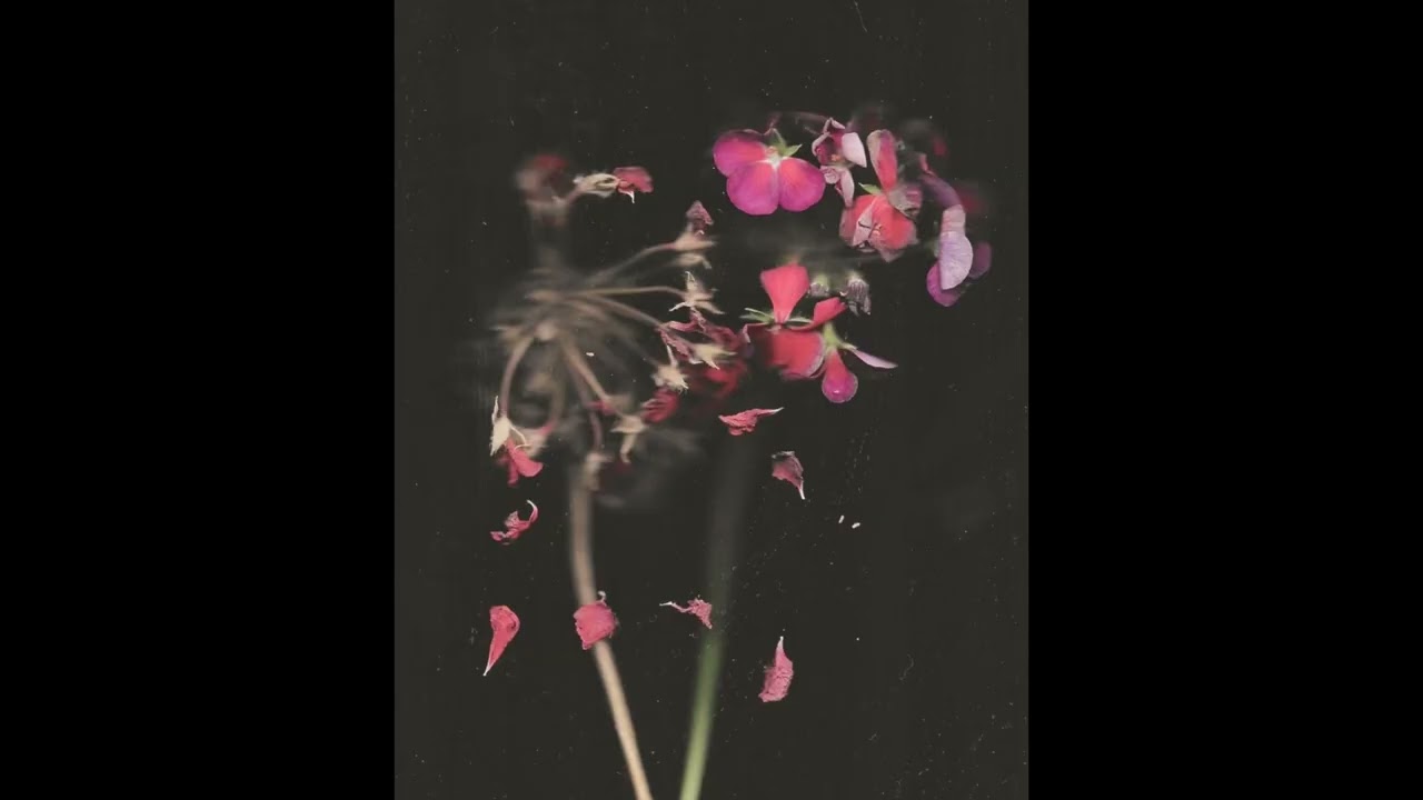 keshi × ROSÉ type beat 