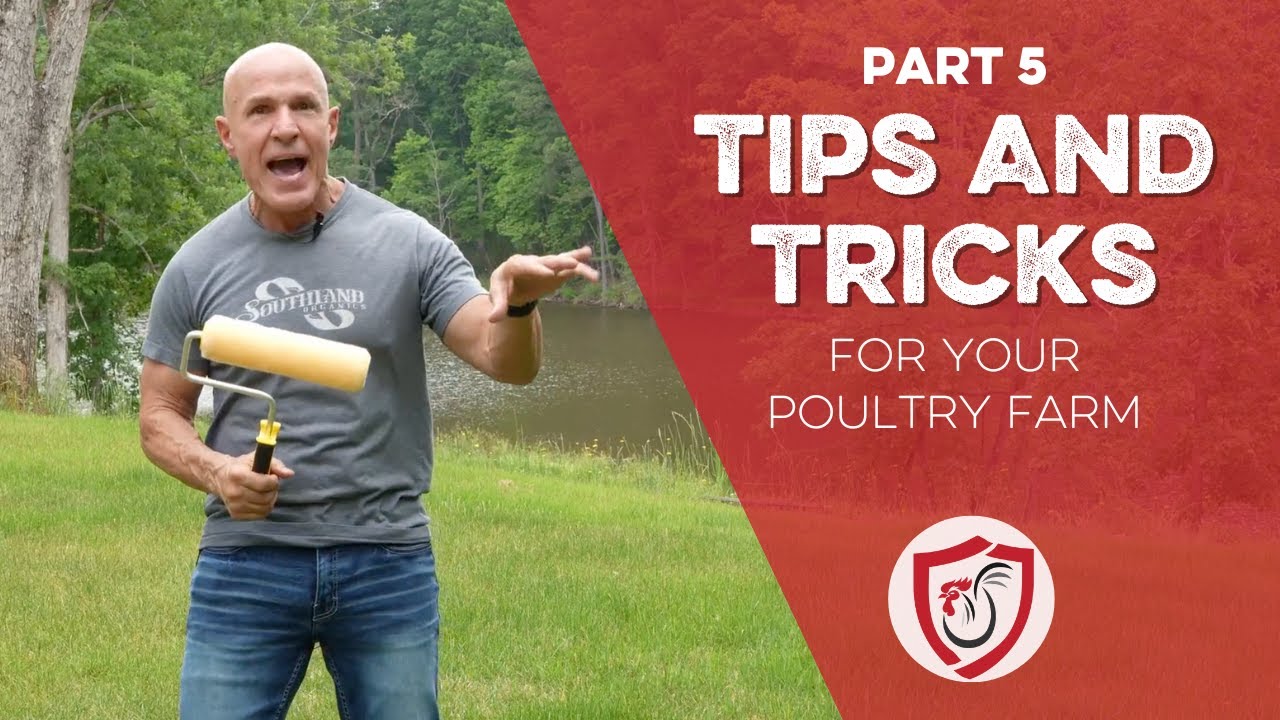 Tips & Tricks For Poultry Farmers: Part 5