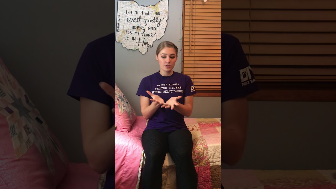 ASL Classifier Activity-Week 12