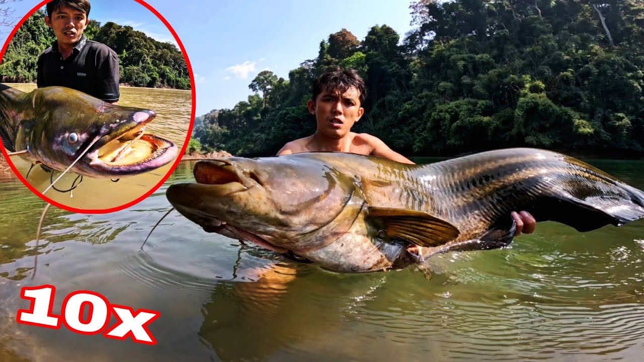 THUỶ QUÁI CỦA RỪNG  ? Tóm Gọn Loài Cá Có Hàm Răng Kiếp Sợ Nhất Rừng Mưa | Kết thúc Chuyến Săn