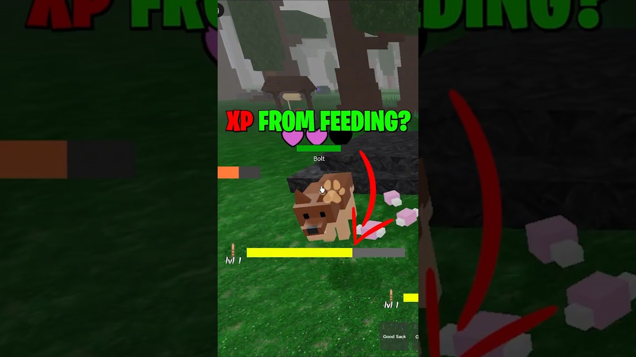 4 Pro Taming Tips You MUST Know in 99 Nights In The Forest! 