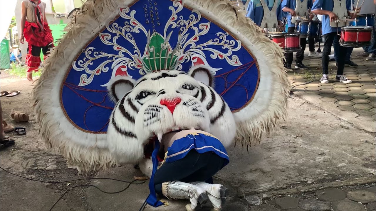 Mayoret Cantik Rika Wulan Dimakan Barongan Jmp Di Buyaran Karangtengah