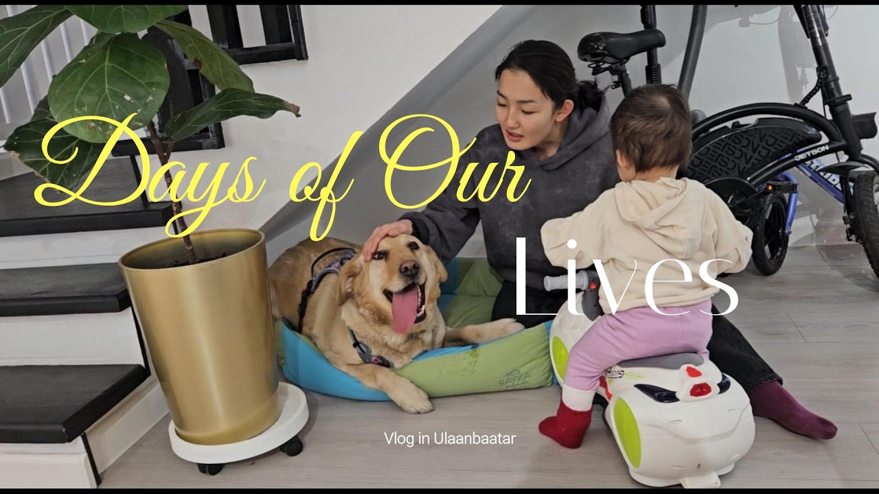Busy days, gift unboxing and moving out Vlog in Ulaanbaatar