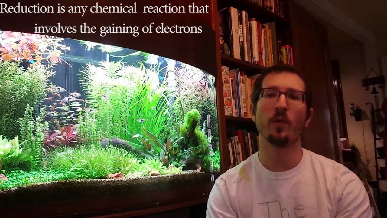 How Dechlorinators (Prime) Work: Chloramine in Your Aquarium (pt3)