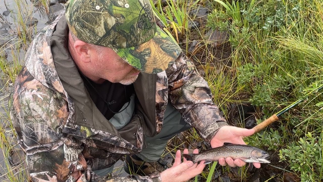 Fishing for Brook Trout in Central Newfoundland - Catch & Cook Adventure