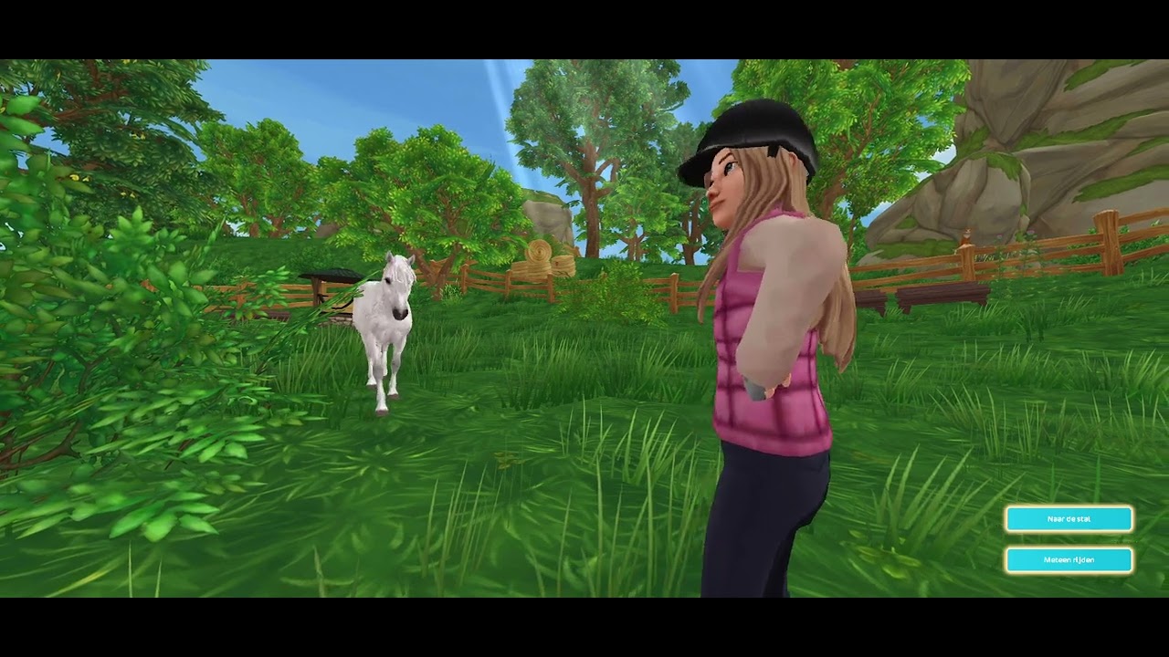 IK KOOP EEN NIEUWE CONNEMARA PONY OP STAR STABLE!