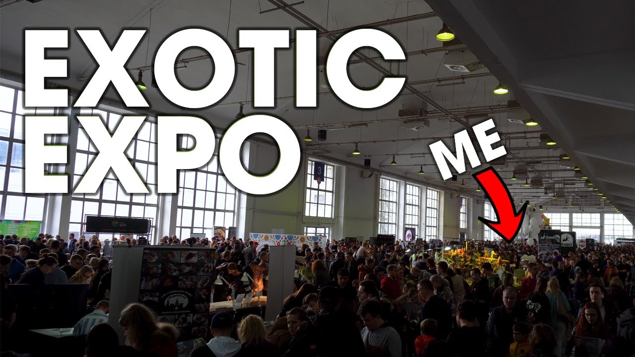 EXOTIC FEST POZNAN, POLAND 2023