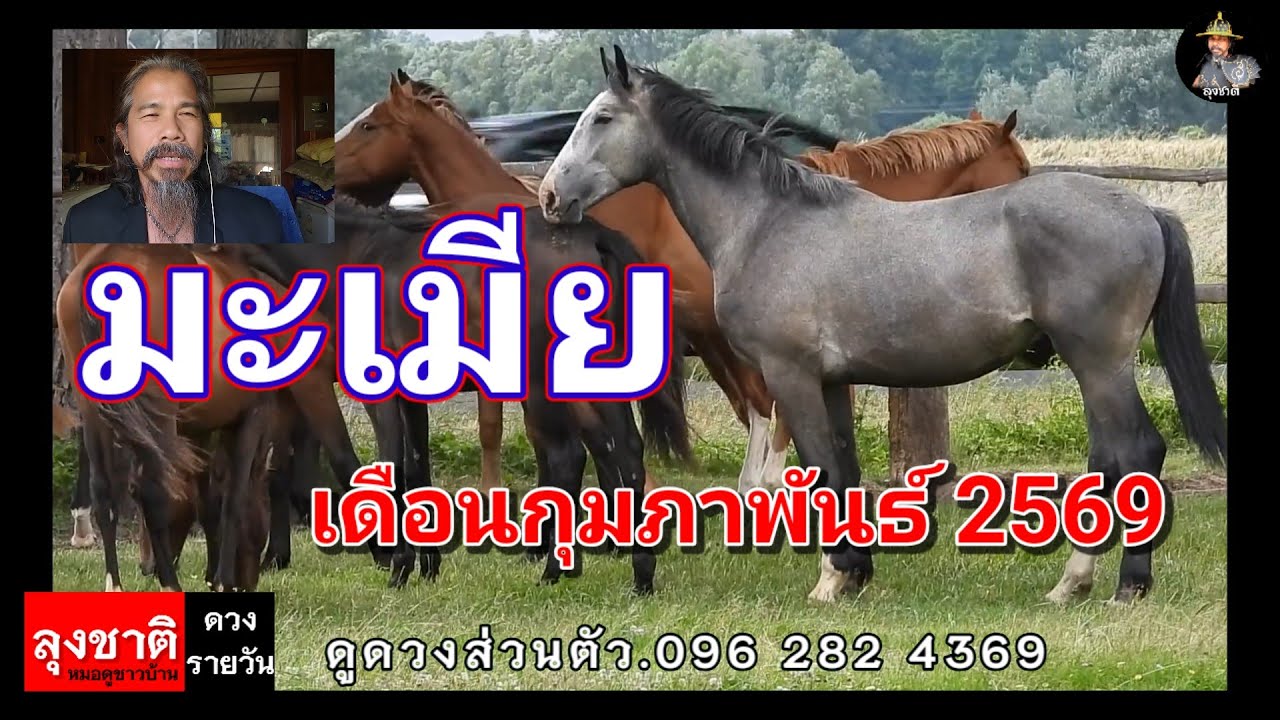 ดวงคนเกิดปีมะเมีย.ประจำเดือนกุมภาพันธ์ 2569#ดูดวง @Longchat 
