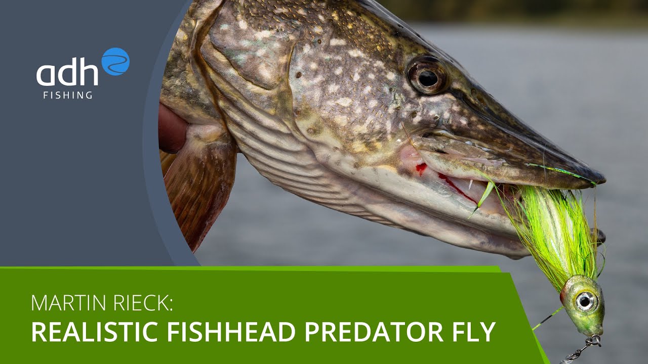 Bindevideo: Fishhead Predator Fly - Ein fängiger Streamer für Hecht und Co.