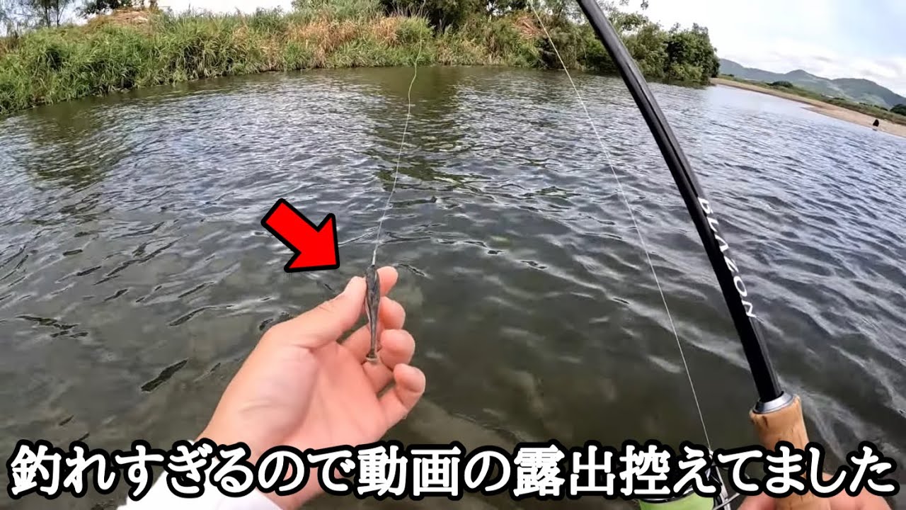 デカバスが狂ったように食ってくるコレ、ヤバすぎます。