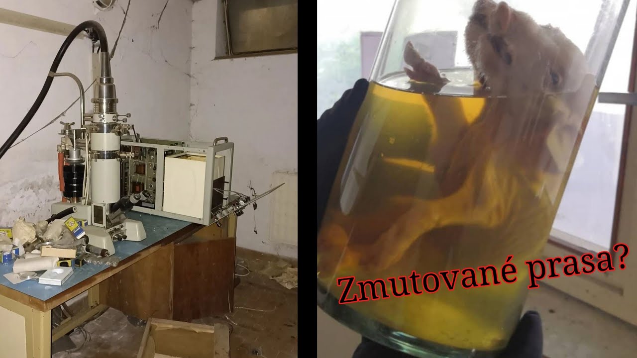 Opustené laboratória, Prasa s dvoma hlavami, Staré mikroskopy [URBEX] 😳😷
