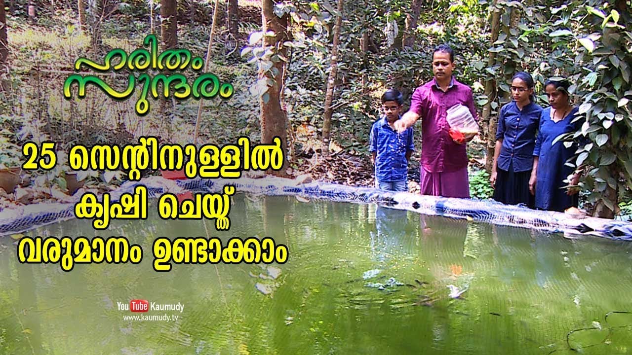 Increase income by farming within 25 cents of land | Haritham Sundharam EP 213