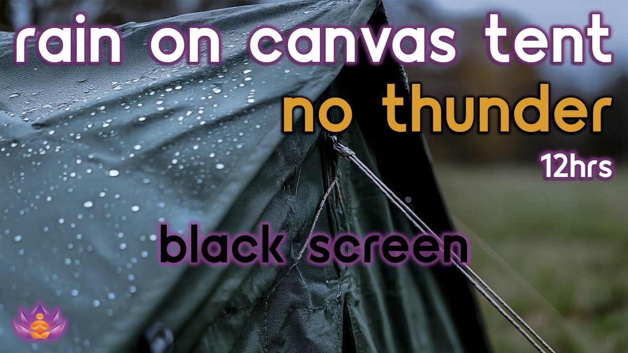 [Black Screen] Rain on Canvas Tent No Thunder | Rain Ambience | Rain Sounds for Sleeping
