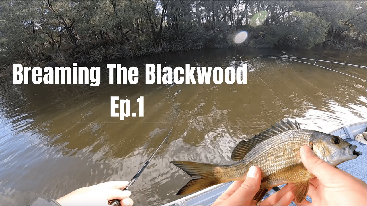 Breaming The Blackwood Ep 1