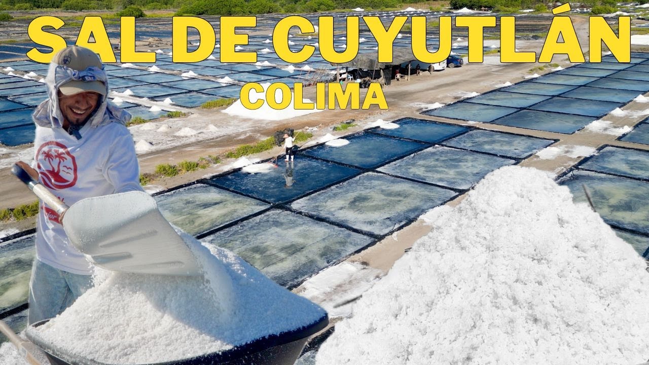 ¿La Mejor Sal de México?🧂La Producción de Sal en Colima