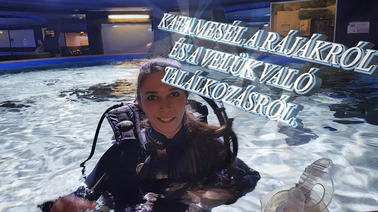 Ráják a rájasimogatóban
