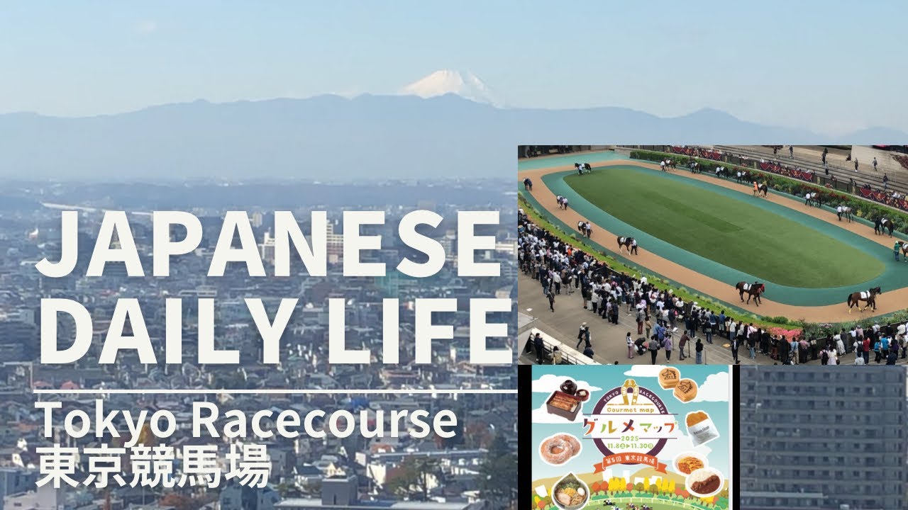 Japanese daily life. Tokyo Racecourse東京競馬場 The best place for a picnic. Various events.
