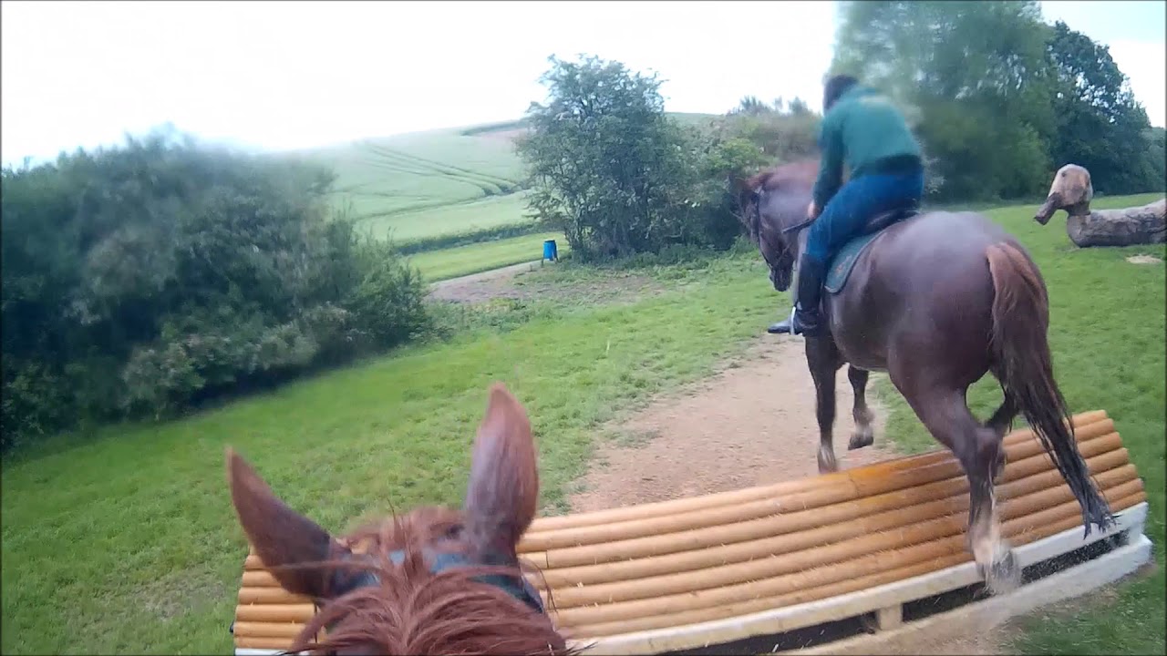 Aylesford Cross Country 2019 with a Suffolk Punch STALLION