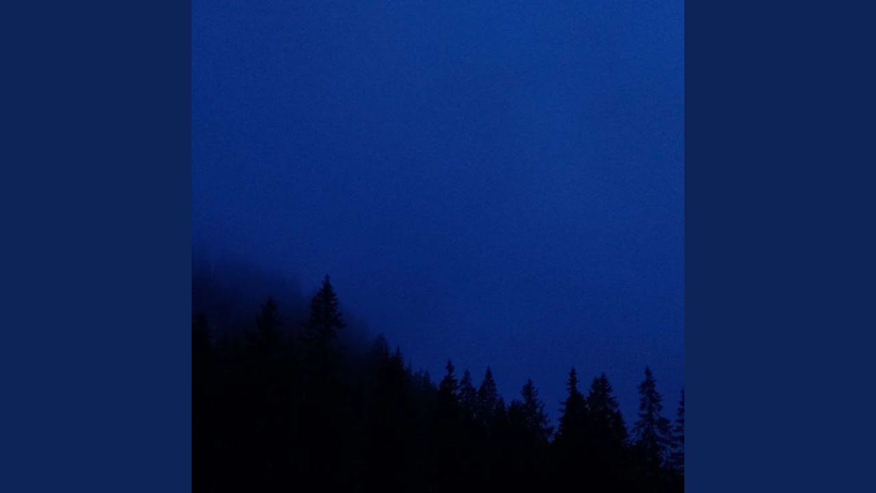 night in the forest