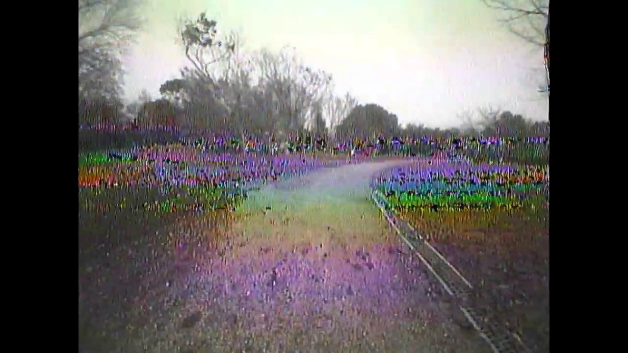 QX95 Mod 8520 Brushed Park Acro Flight