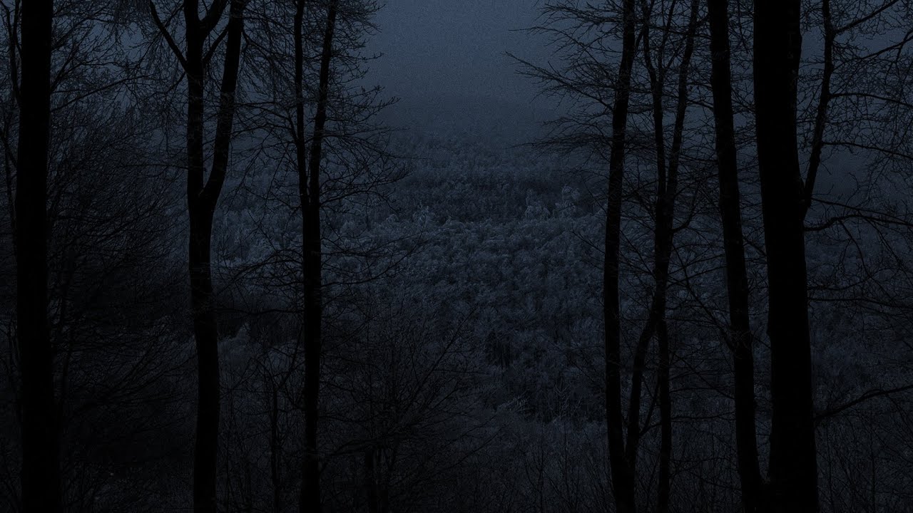 Winter Forest Atmosphere | Alone in the Carpathian Mountains | -15°C | 3 HOURS