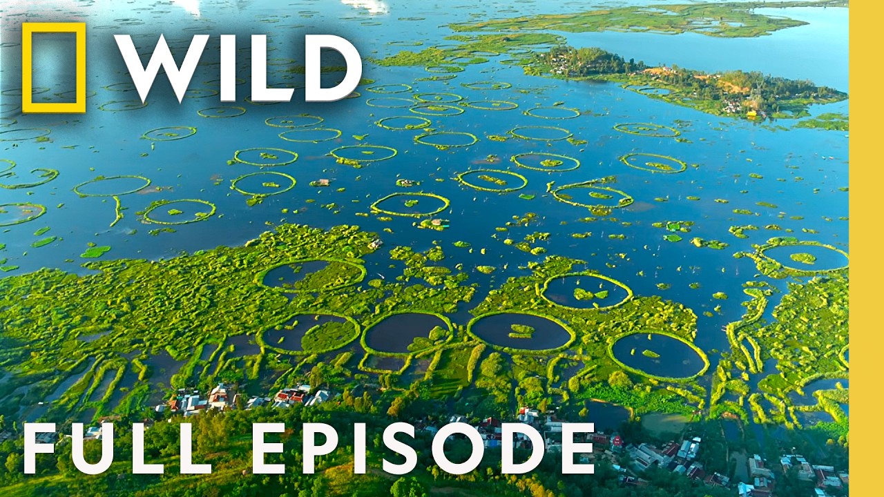The Natural Wonder of India (Full Episode) | India from Above | Nat Geo Animals