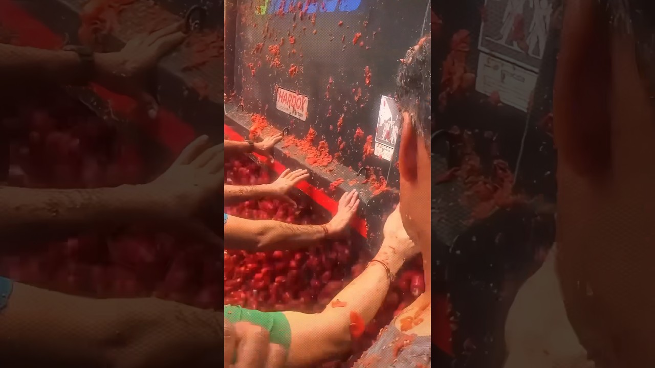 Фестиваль томатов 🍅
