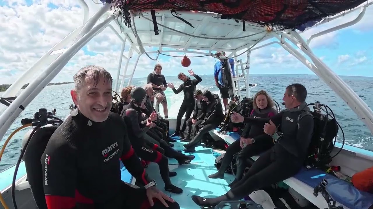 15 FEB 2026. Buceo en Cozumel, Playa del Carmen, México 