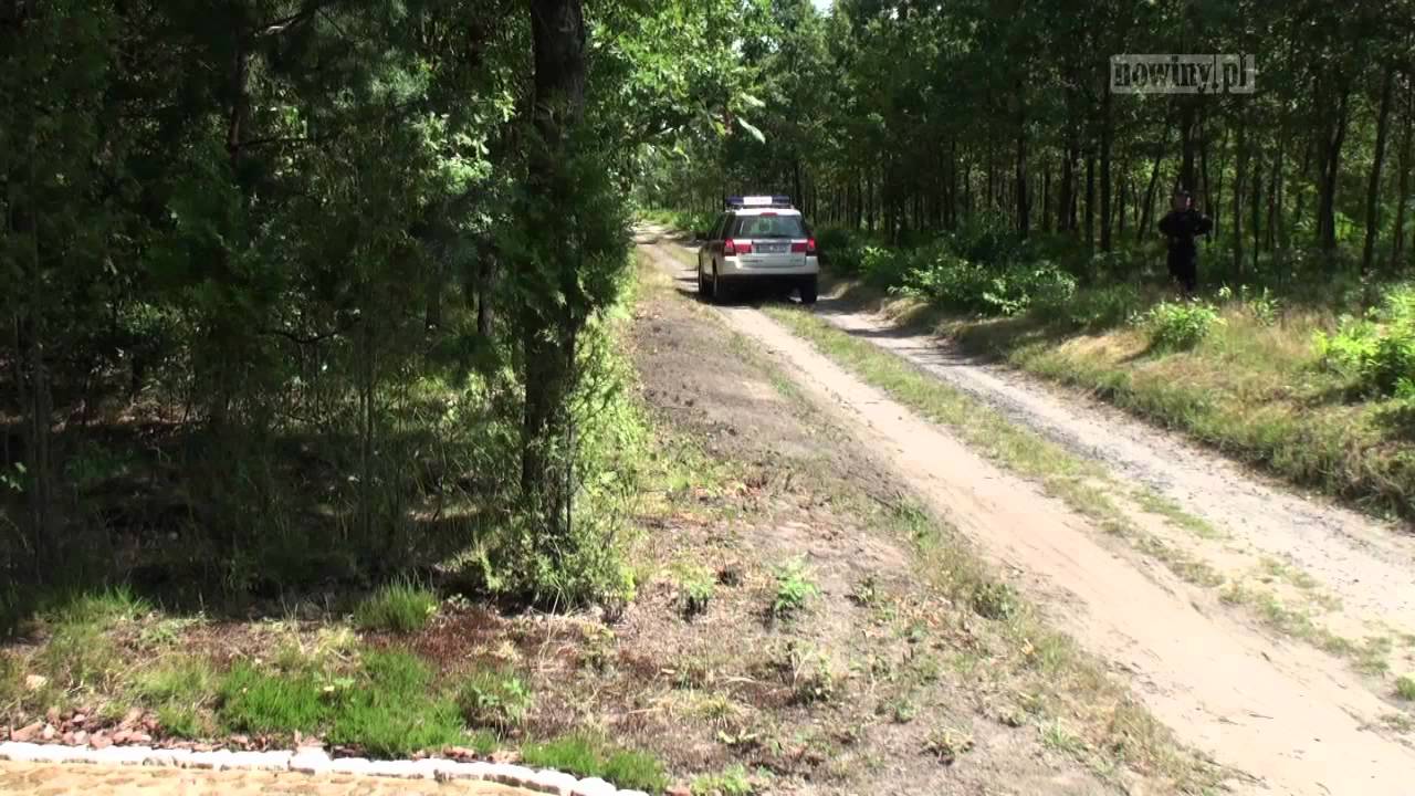 Pożar lasu - Kuźnia Raciborska - 20. rocznica, 26.08.2012