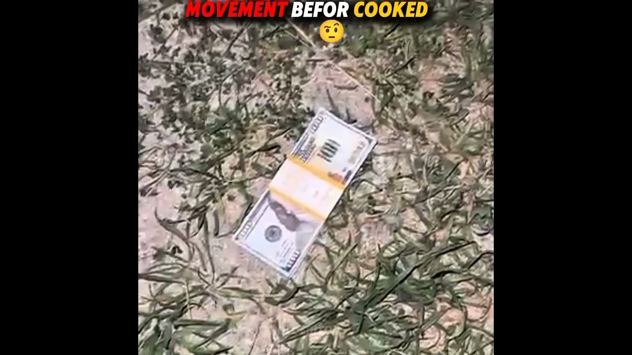 before cook movement