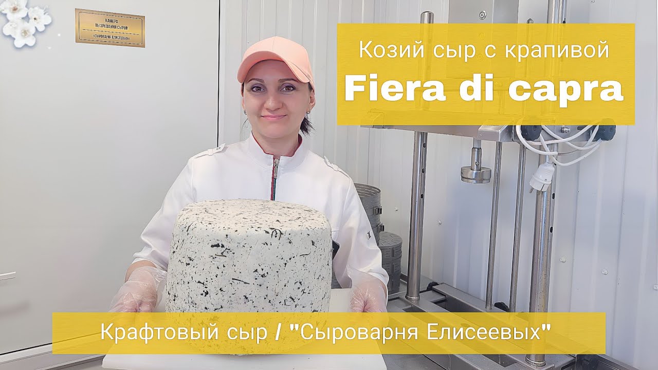Крафтовый Сыр для ресторанов /Сыр с крапивой из козьего молока  
